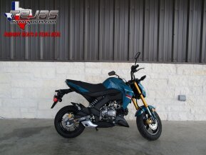 2021 Kawasaki Z125 Pro
